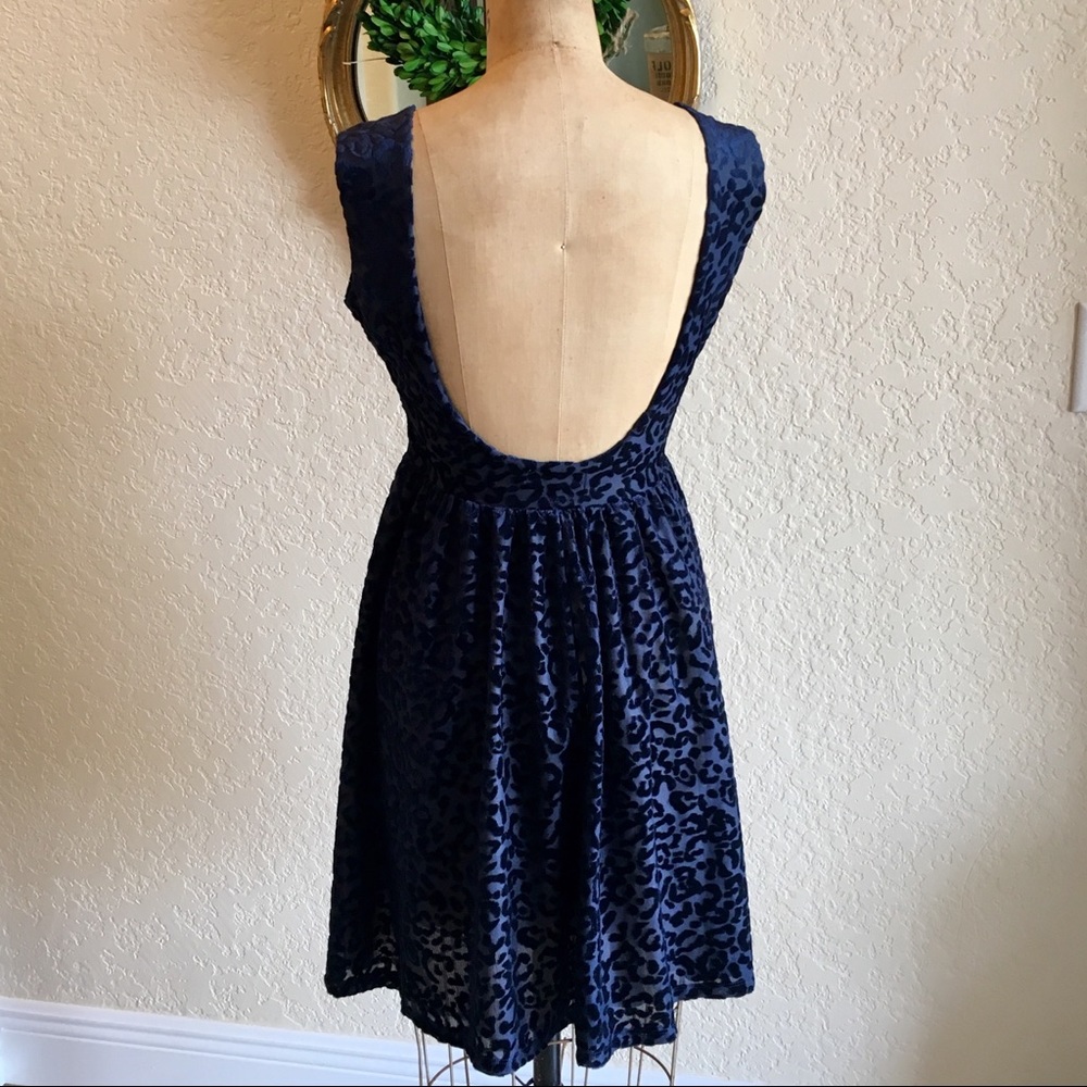 ZARA TRAFALUC Navy Velvety Cheetah Dress - Sz S - Picture 3 of 5